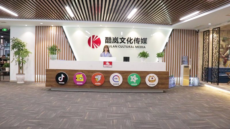 VI设计参数与尺寸：揭秘企业品牌形象塑造的关键