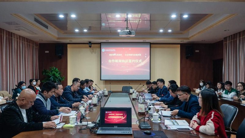 室内拍摄，柔光箱与反光板如何选择？**